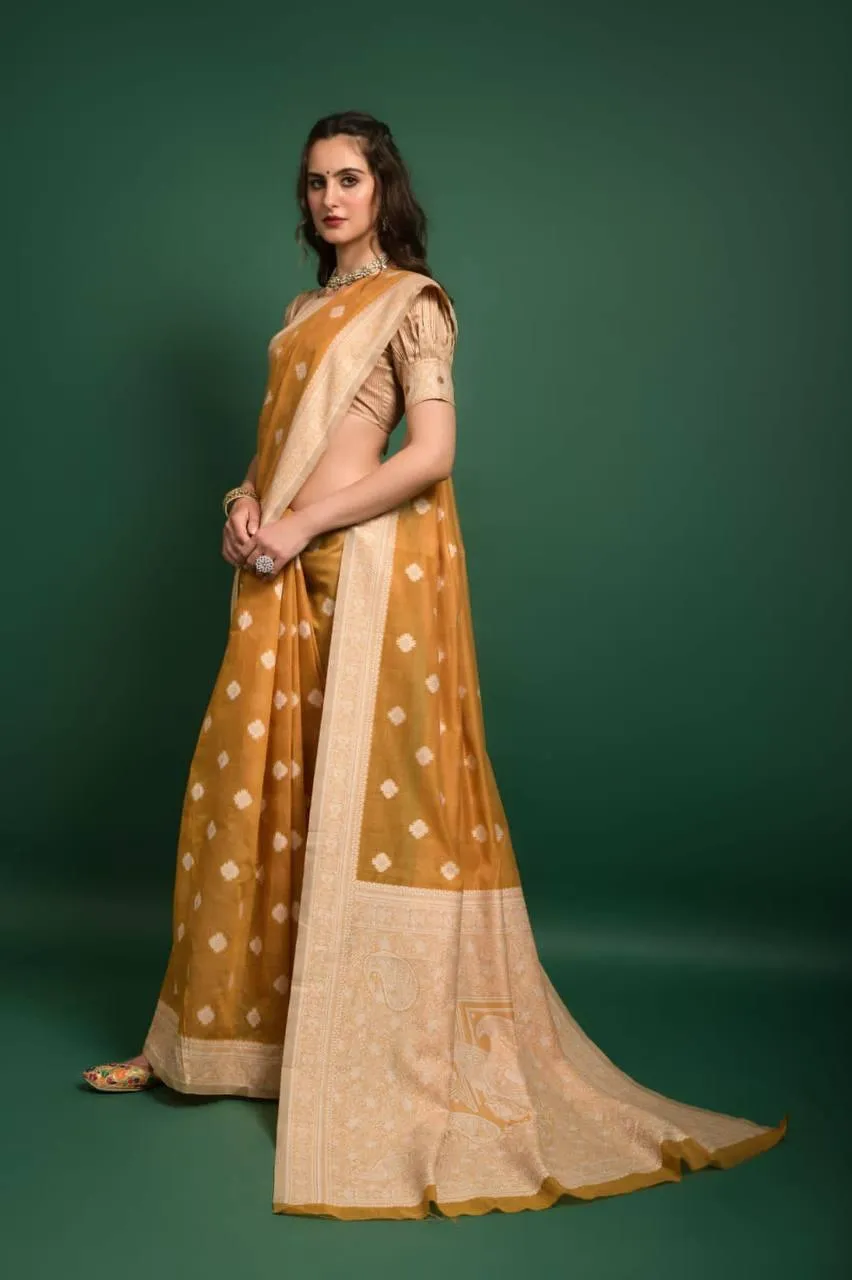 Orange Lucknowi Chikankari  Saree