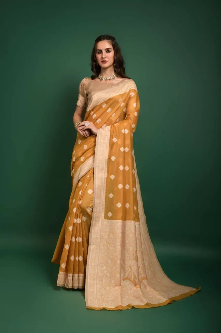 Orange Lucknowi Chikankari  Saree