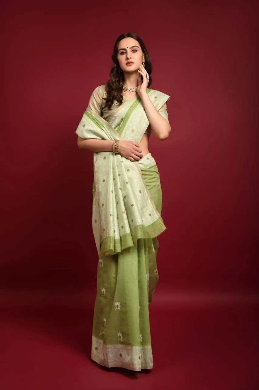 Pear Green Lucknowi Chikankari  Saree