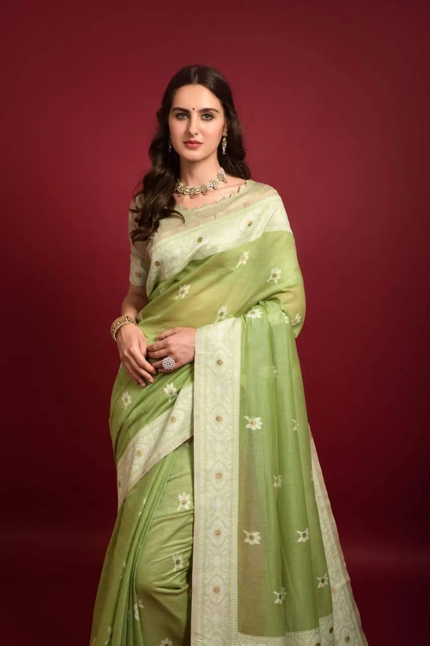 Pear Green Lucknowi Chikankari  Saree